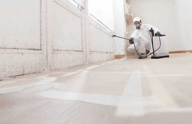 24/7 Emergency Commercial Mold Remediation experts in Deltaville, VA