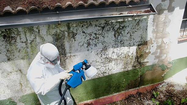 Trusted Commercial Mold Remediation service in Deltaville, VA - Cheap Mold Removal